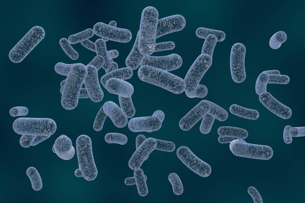 What is Legionnaires' disease? [Legionella Explained]